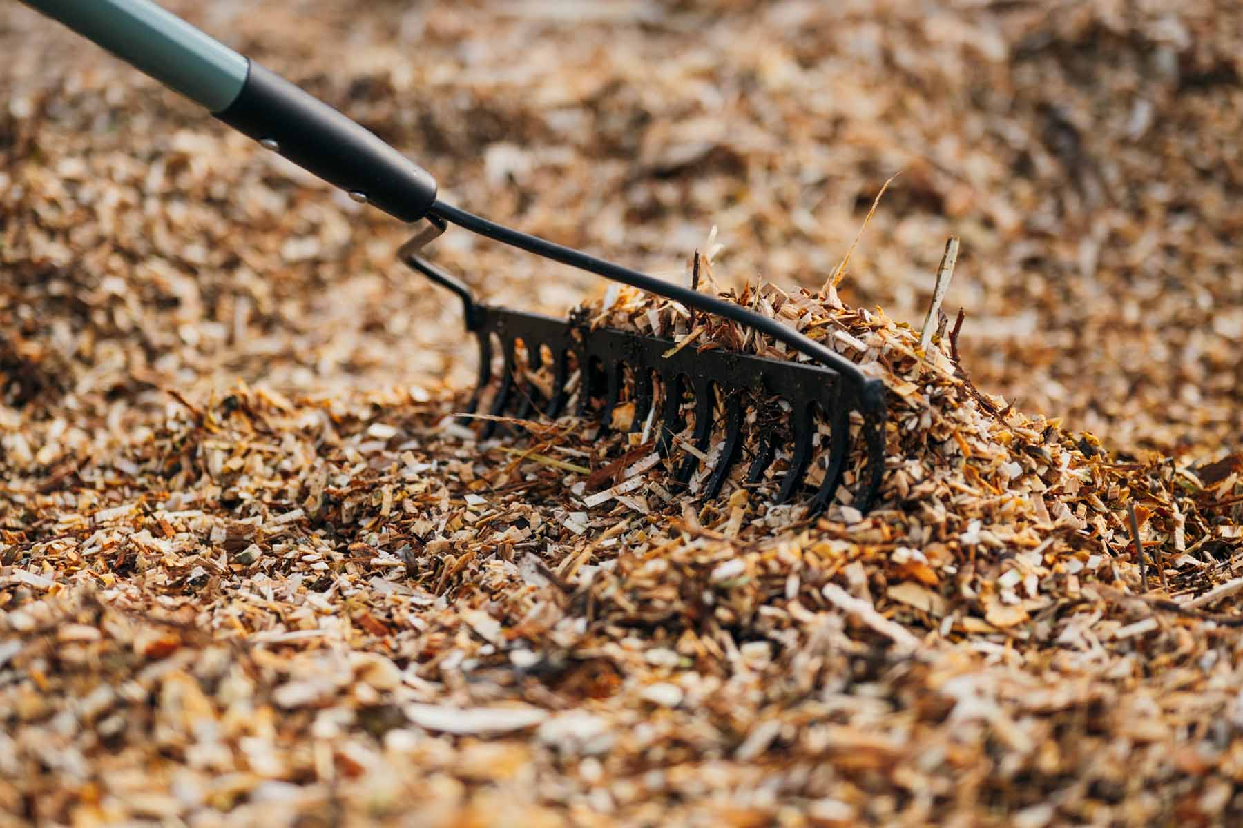 Forestline DH8 8" PTO Wood Chipper with Dual Hydraulic In-feed - Image 12